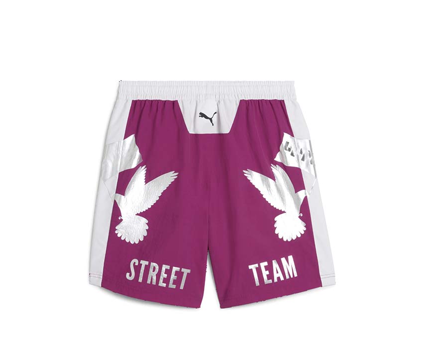 Puma Male Shorts